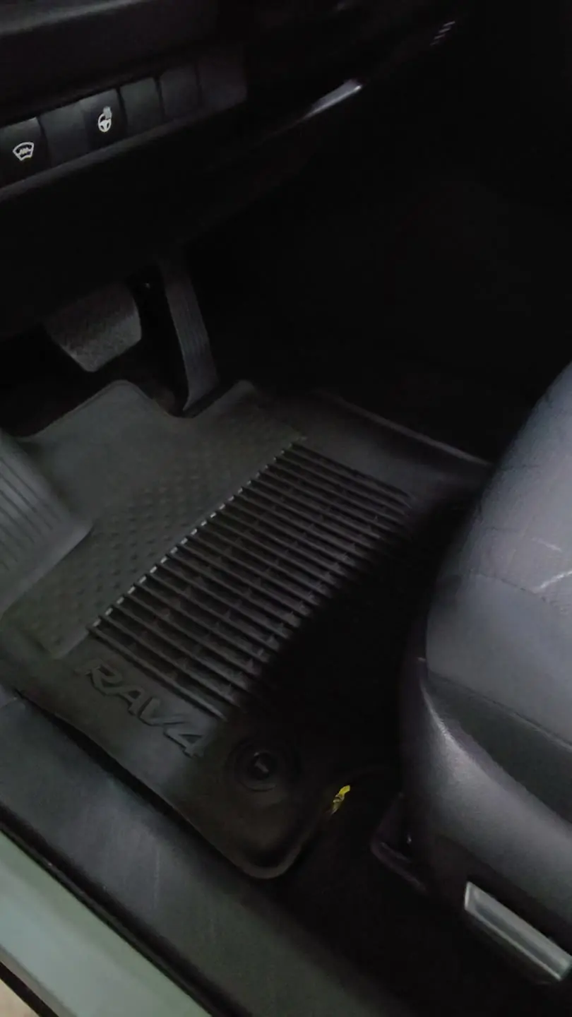 Driver floor mat after detailing
