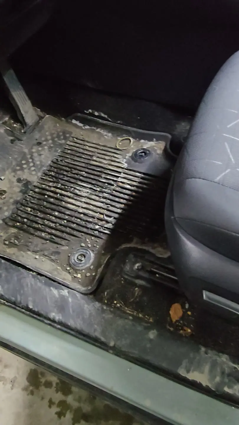 Driver floor mat before detailing